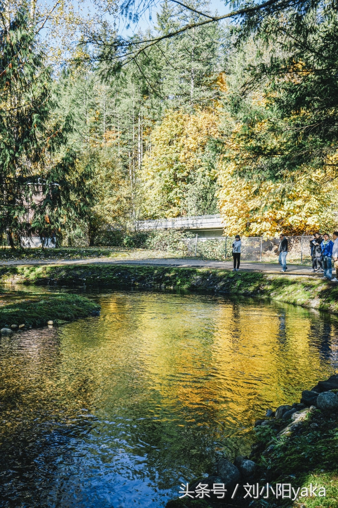 维多利亚水廊旅游,加拿大旅行景点