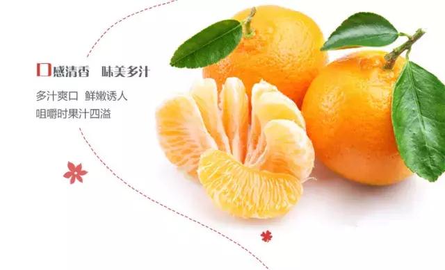 顺昌是中国芦柑之乡，顺昌的柑橘怎么样？看这里