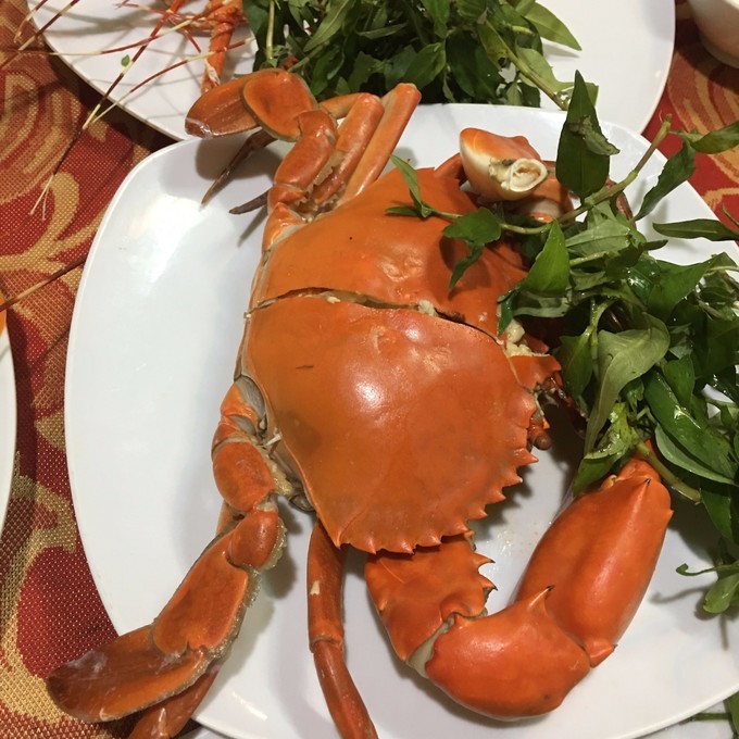 一个人越南攻略,一个人越南自驾游纪录片