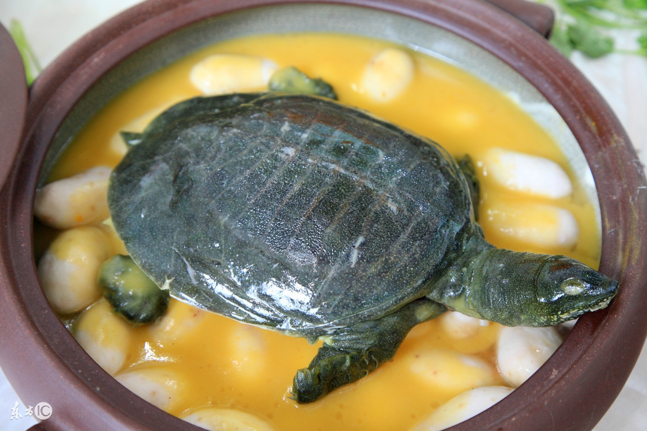 孕期慎吃的零食,孕期便秘吃什么食物比较好