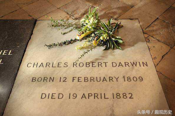 达尔文进化论是和谁一起提出来的,达尔文进化论是怎么提出来的