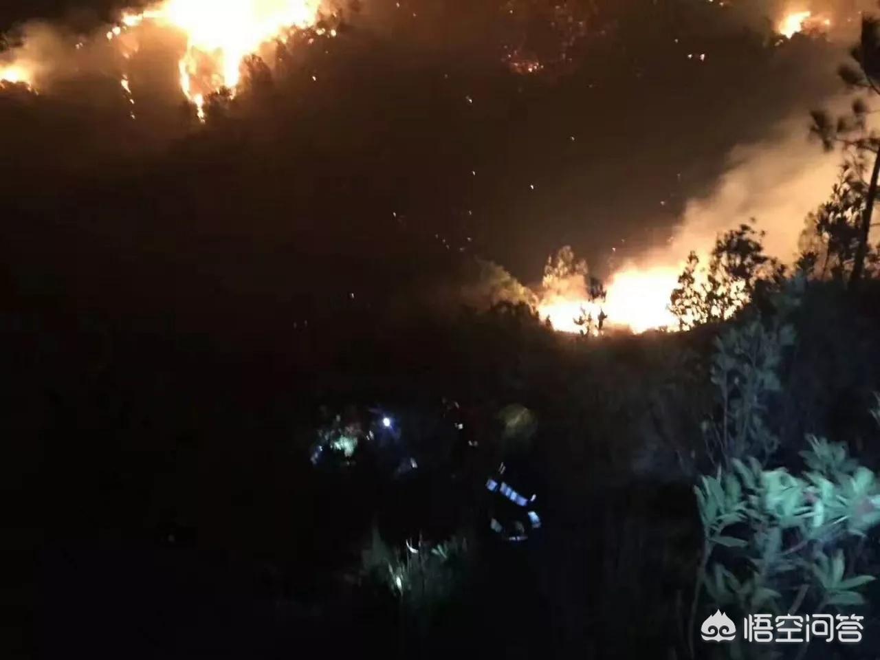 珠海市凤凰山旅游景区游玩攻略,珠海凤鸣谷风景区怎么样