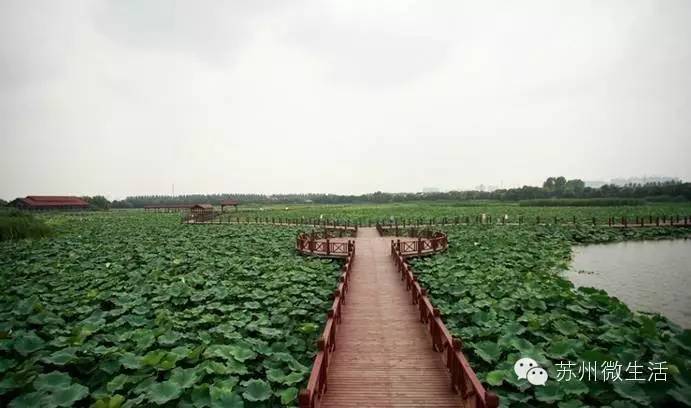 快看！苏州要在全球出名了！竟然与纽约、伦敦、东京、巴黎同上一个榜单...