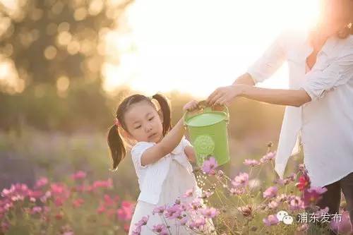 上海浦东周末遛娃去哪玩推荐,浦东周末带娃的最佳去处
