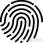 龙井茶地方课程,龙井茶课堂实录