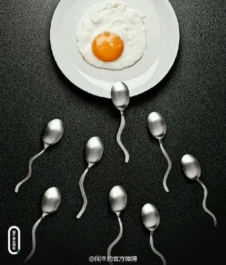 为何迟迟没有爱的结晶