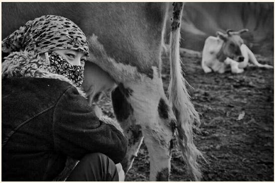 西行奇遇记完整视频,西行奇遇记