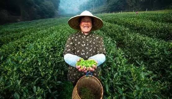 新一线城市名单杭州,2020新一线城市名单杭州