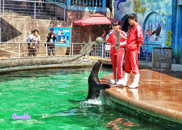 中南百草原景区动物园,中南百草原景区动物