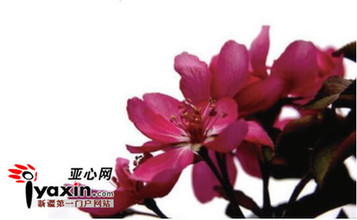 五一劳动节吃喝玩乐,五一吃喝玩乐活动策划