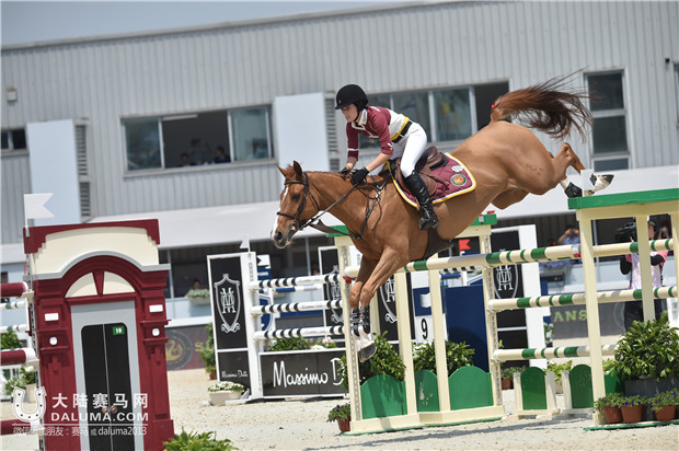 2017年环球马术赛看点,上海马术冠军赛