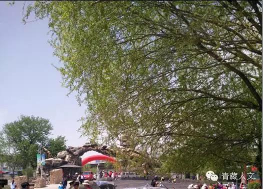 西宁景熙丰生态园,西宁景熙丰湿地公园