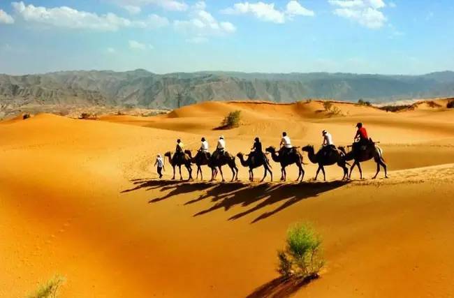 港中旅2015业绩平稳自然景区利润增加四倍