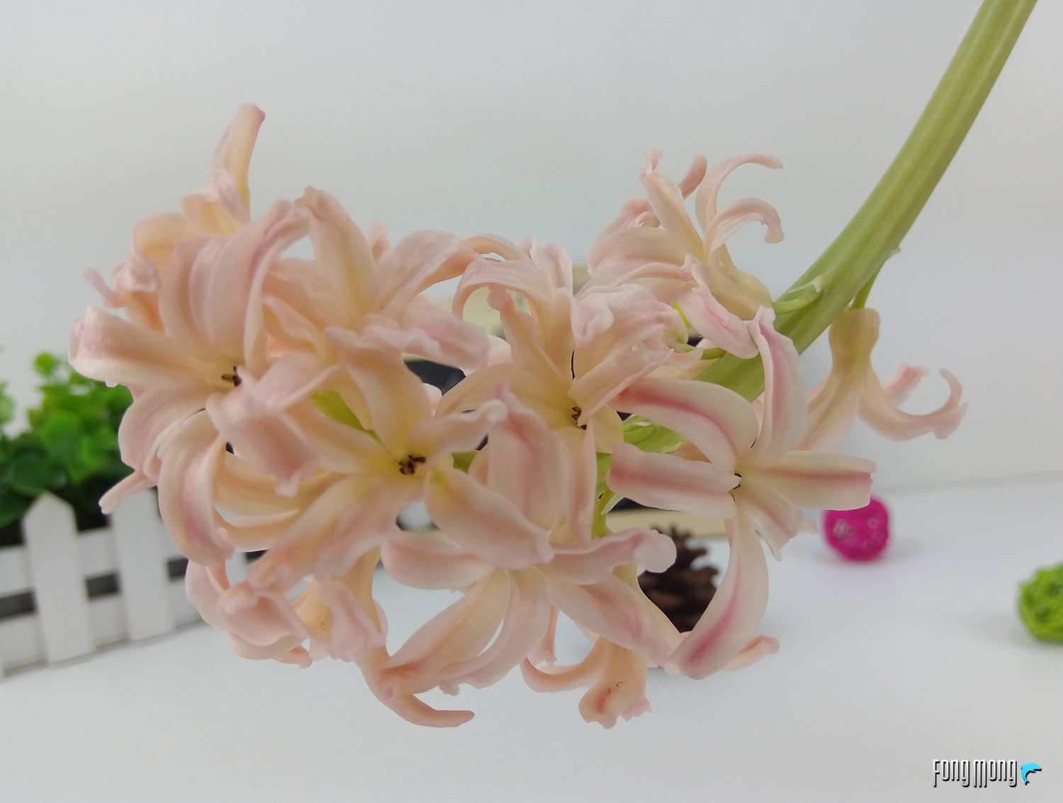 360手机f4全网通版评测,360手机f4s-a02