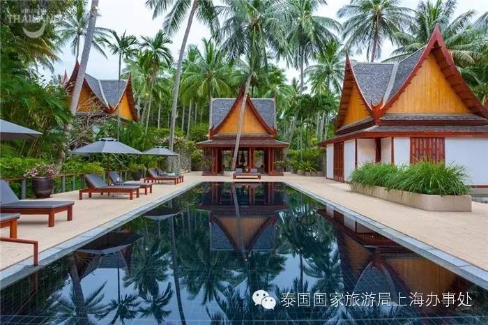 泰汇玩|这些酒店，为什么大家都喜欢？