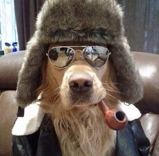 魅蓝3价格发布会,魅蓝3测评