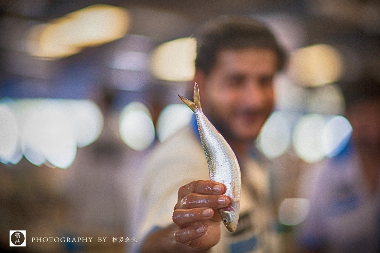 迪拜乞丐月入50万真的吗 (迪拜乞丐月收入高达47万元)