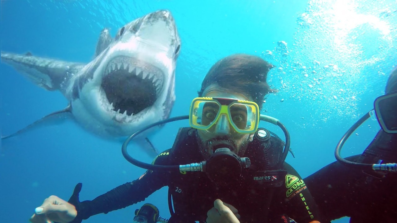 帕劳旅游报价携程,帕劳深度旅游攻略