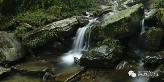 今年五一不出门宅在家里,五一不宅家悦游好时节
