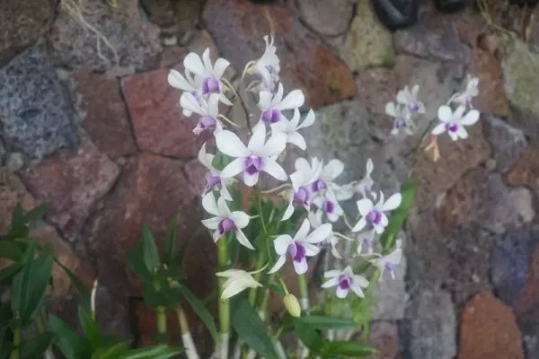 感受海岛三亚的浪漫,三亚湾浪漫之旅