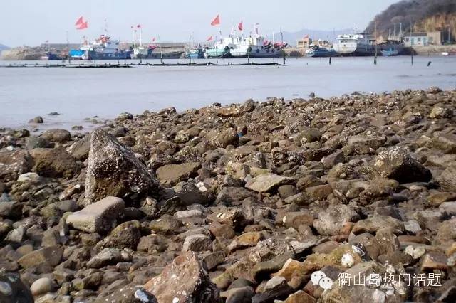 衢山特色方言,衢山方言