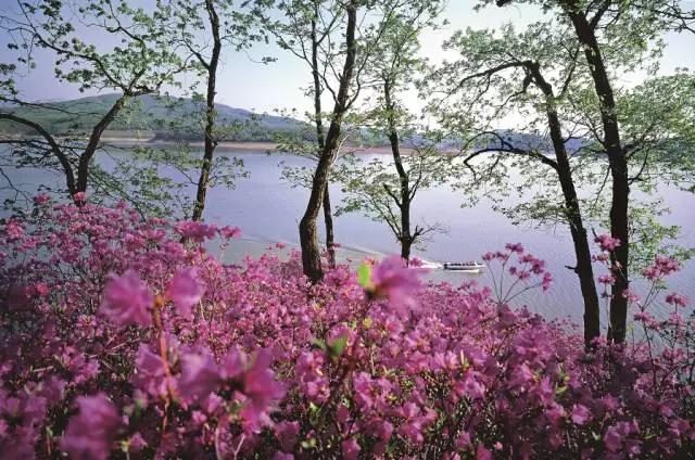 开江鱼美食节松花湖,吉林市品尝开江鱼美食宣传视频