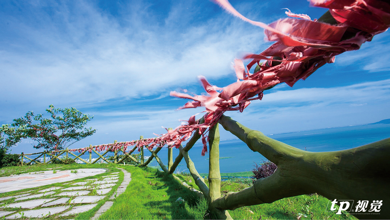 苏州婚纱照哪家拍得最好,苏州哪一个园林适合拍摄婚纱照