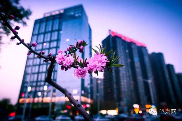 如果有人说“望京什么破地儿?”就把这条微信甩给他