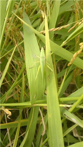 80后儿时的美食记忆,80后记忆中的美味零食你吃过几种