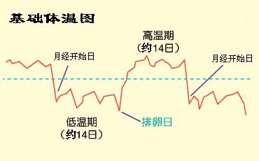 想备孕二胎需要做啥检查呢,想备孕重视这三件事