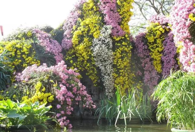 深圳有没有好看的风景湖,深圳美湖