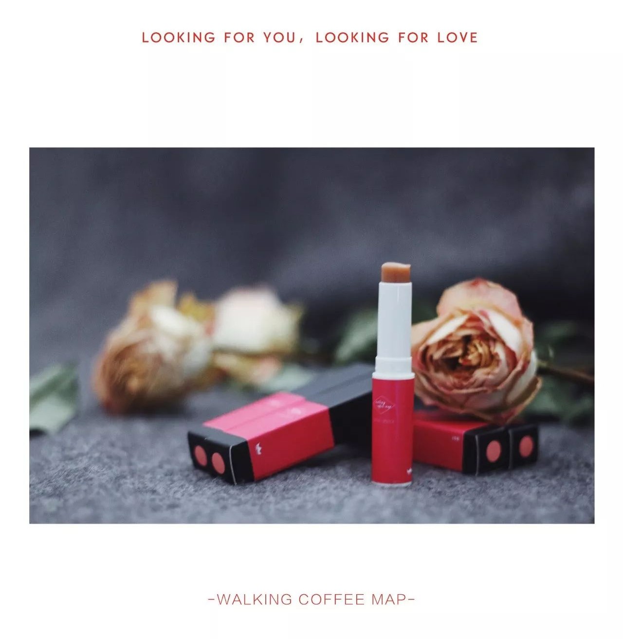 2017年最后一场杯测，巴黎+鹿特丹+柏林的好咖啡，跟行走的咖啡地图一起跨年