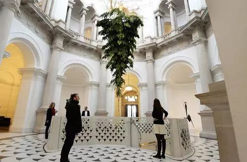 纽约大都会博物馆圣诞树,世界上最大的圣诞树是什么样子