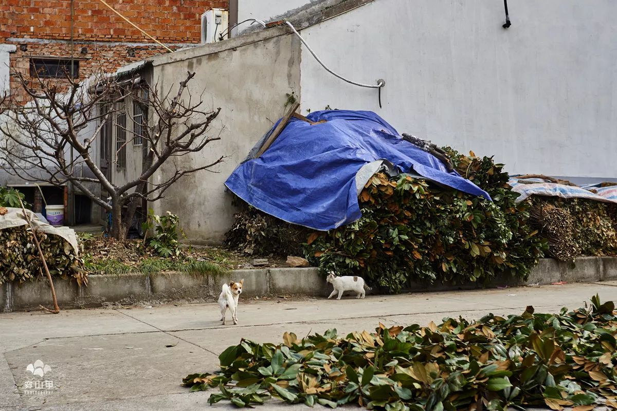 无锡千年古村尧歌里火了,无锡古村尧歌里在哪里