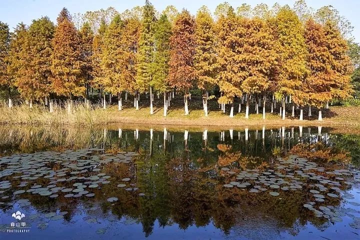 无锡千年古村尧歌里火了,无锡古村尧歌里在哪里
