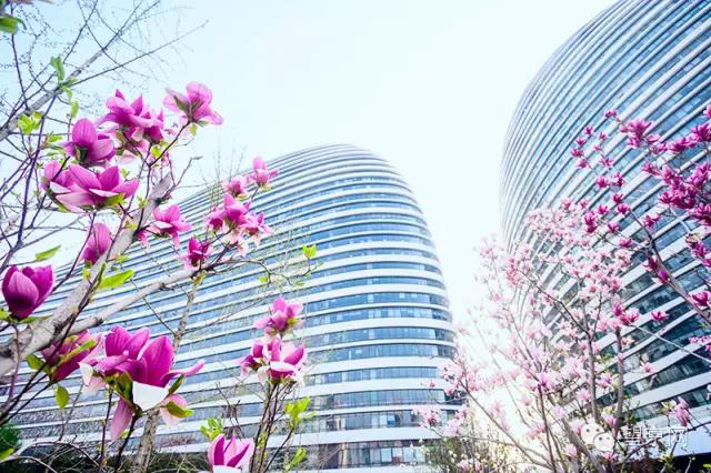 如果有人说“望京什么破地儿?”就把这条微信甩给他