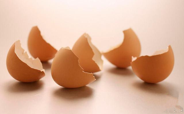 用鸡蛋壳这样养花1年不用施肥,鸡蛋壳别再扔了这样做比肉还好吃