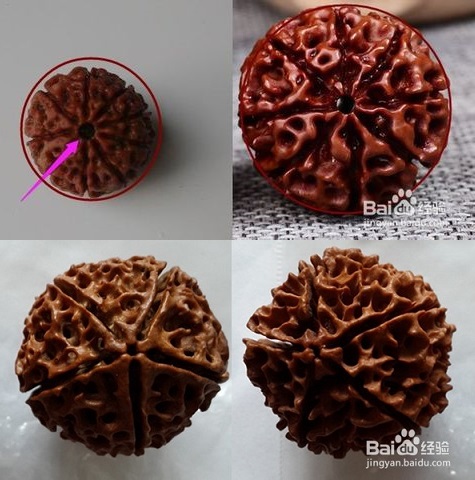 金刚和落地红最简单的辨认方法,落地红和金刚菩提区别图片