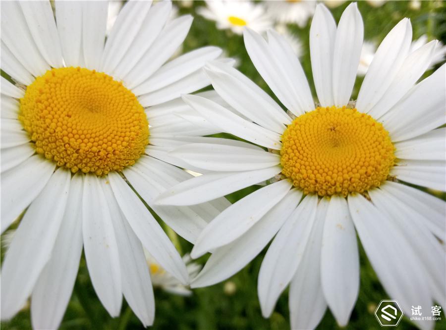 颜值爆表性价比手机,魅蓝note3参数配置详情