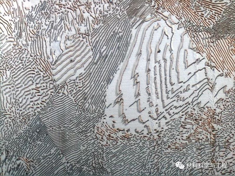 投票表决素材模板,投票素材图片图文