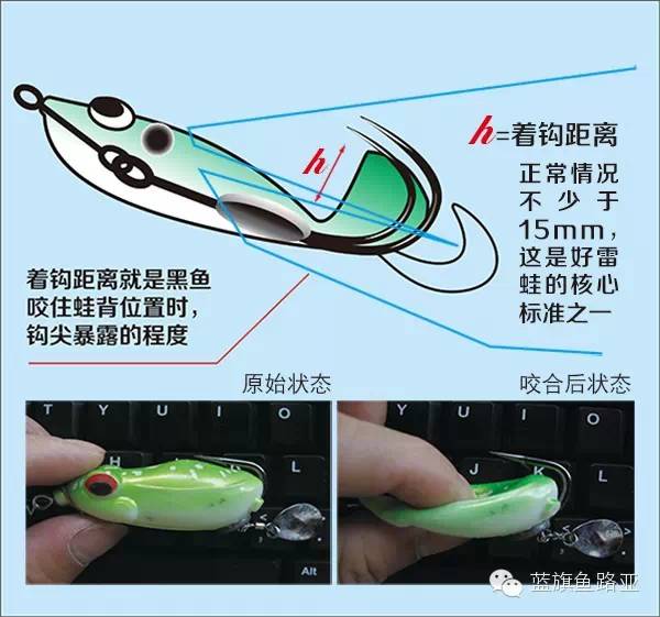 闆疯洐瑁呭閫夋嫨,缁忓吀鏁欏闆峰己瑁呭绡囦箣闆疯洐绯诲垪