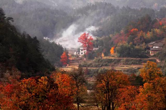三里畈温泉度假村有什么好玩的,三里畈温泉度假村夜景