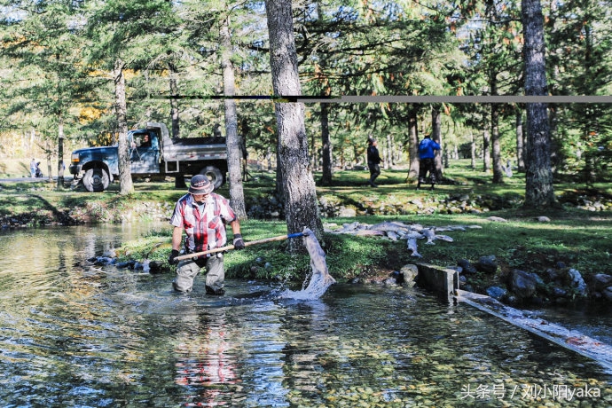 维多利亚水廊旅游,加拿大旅行景点