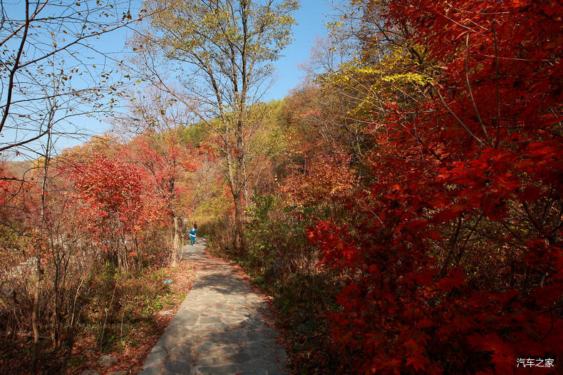 家乡之美美篇,家乡之美原唱完整版
