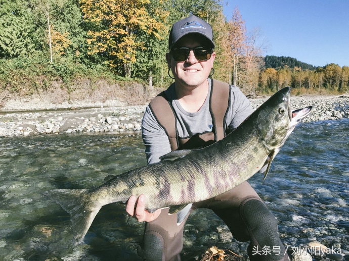 维多利亚水廊旅游,加拿大旅行景点