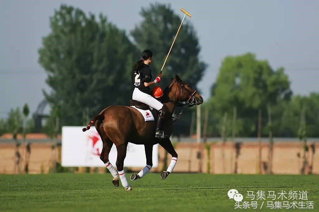 会打羽毛球是什么体验,打马球训练哪些