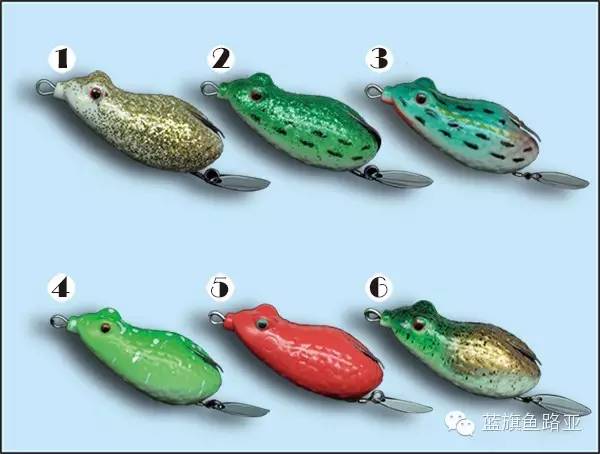 雷强详细教学,雷蛙雷强装备