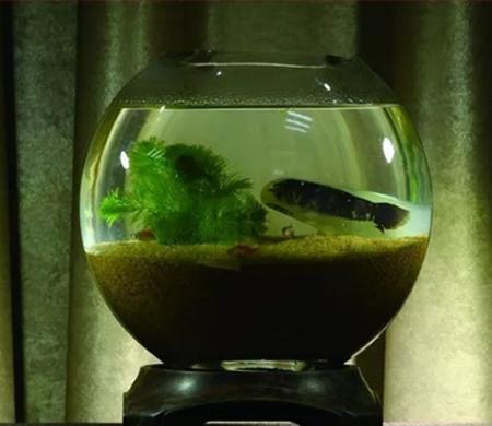 中国十大最美石头,中国十大最漂亮的红色石头