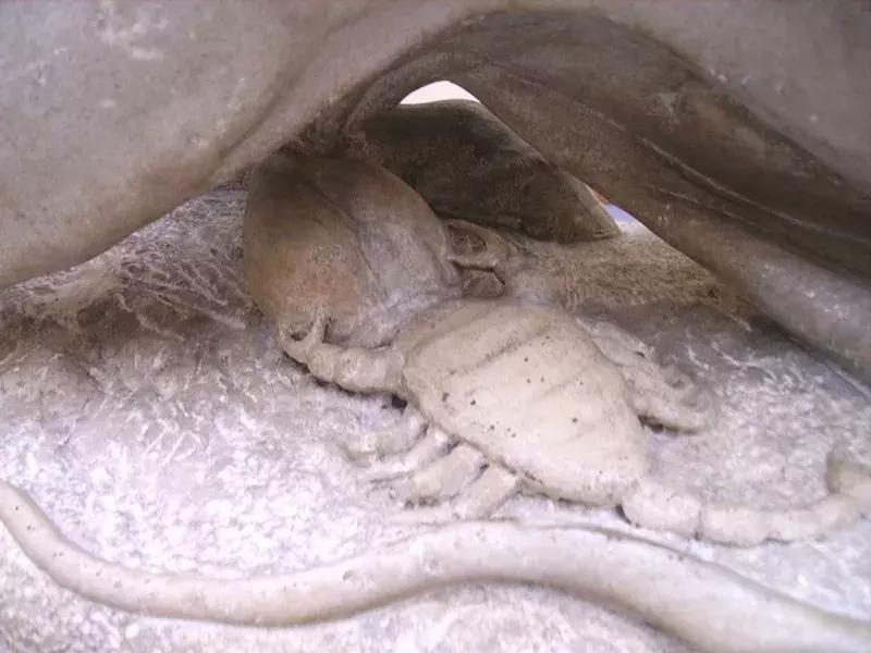 圣诞节到底是谁的生日,圣诞节和谁一起过呢