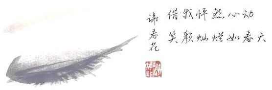 谢春花小吉他,谢春花节目里用的什么吉他